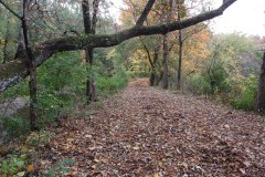 IMG_20201012_101745956