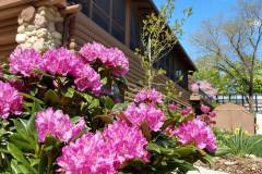 IMG_20210505_111605979_HDR