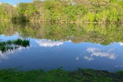 Pond